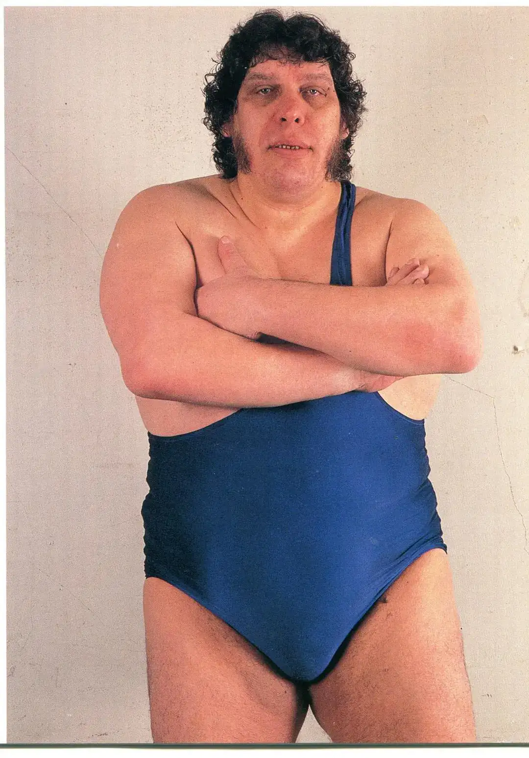 Andre the Giant